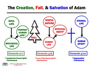 Adam-CreationFallSalvationOf.pdf