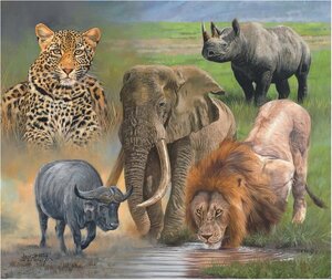 African-Animals-The-Big-Five.png