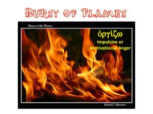 AngerComplex-IllustratedByFire.pdf