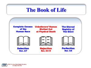 BookOfLife-SelectionRejectionPerfection.pdf