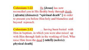 Colossians-1-verse-22-and-2-verse-12.png