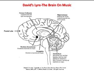 Davids-Lyre-The-Brain-On-Music.pdf