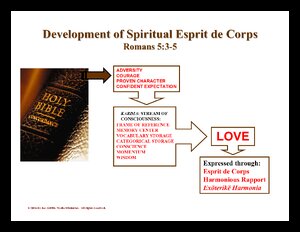DevelopmentOfSpiritualEspritDeCorps.pdf