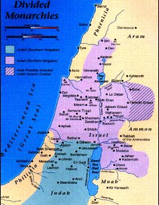 DividedMonarchies.pdf