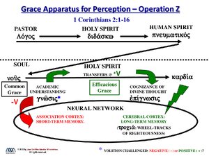 GAP-OpZ-and-NeuralNetwork-1.pdf