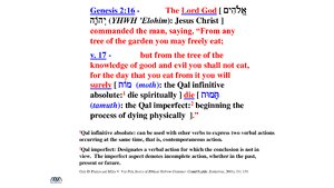 Gen-2-16-17-Moth-Tamuth.pdf