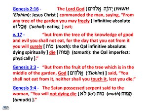 Gen-2-16-17-and-3-3-4.pdf