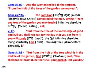 Genesis-3-2-2-16-17-3-3.pdf