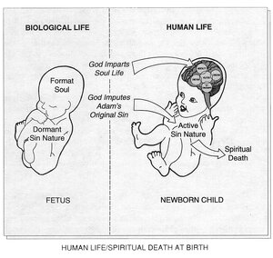 HumanLife-SpiritualDeath-1.jpg
