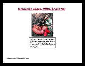 IchneumonWaspsWMDsCivilWar.pdf