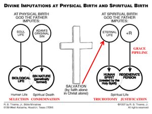 Imputations-At-Physical-and-Spiritual-Birth.pdf