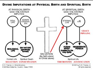 ImputationsAtPhysicalSpiritualBirth-1.pdf