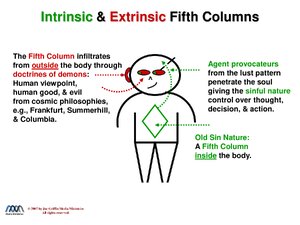 IntrinsicExtrinsicFifthColumns.pdf