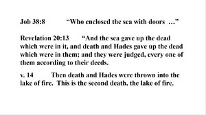 Job-and-Revelation.png