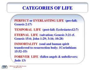 Life-Biblical-Categories.pdf