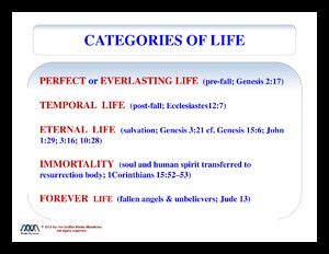 Life-BiblicalCategories.pdf