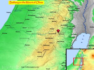 MAP-BethanyOnMtOlives.pdf