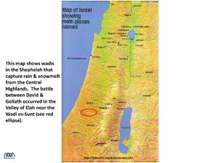 MAP-Israel-Wadis-Topographic.pdf