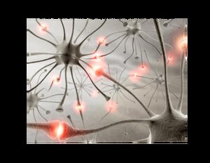 Neural-Synapses-Passing-Chemical-Messages.pdf