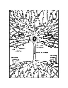 NeurtonTangle.jpg