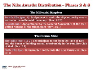 Nike-Awards-Phases-2and3.pdf