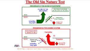 Old-Sin-Nature-Test.png