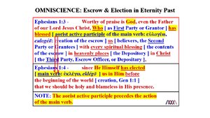 Omniscience-Escrow-and-Election-in-Eternity-Past.png