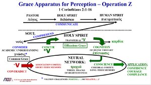 Operation-Z-Positive-Volition.png
