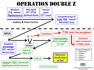 OperationDoubleZ.pdf