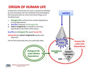 OriginOfHumanLife.pdf