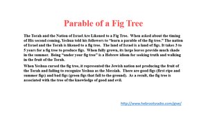 Parable-of-a-Fig-Tree-1.png