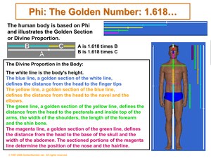 PhiTheGoldenNumber.pdf