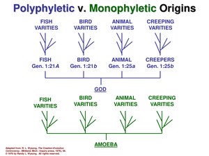 PolyphyleticVMonophyleticOrigins.pdf