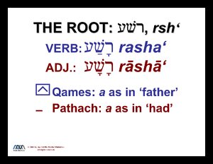 Rasha.pdf