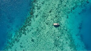 Reefs-at-Low-Tide.png