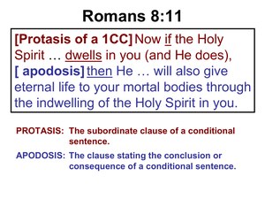 Romans8ProtasisApodosis.pdf