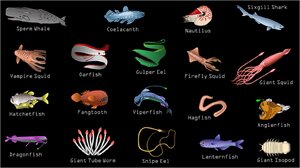 Sea-Creature-1.png