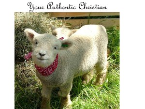 Sheep-YourAuthenticChristian.pdf