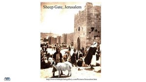 SheepGate-Jerusalem.pdf