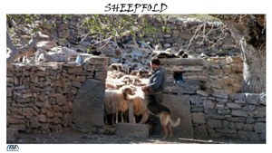 Sheepfold.pdf