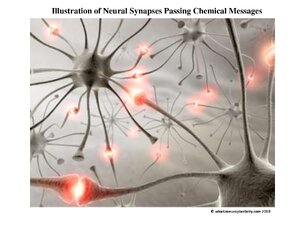 Synapses-Transmitting.pdf