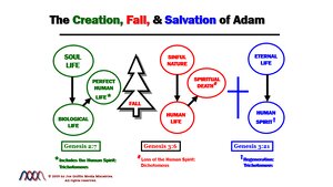 The-Creation-Fall-Salvation-of-Adam.png