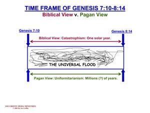 TimeFrameOfGen_7-8.pdf