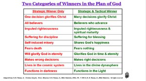 Two-Categories-of-Winners.png