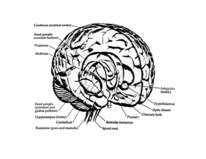 ViewOfCotex.jpg