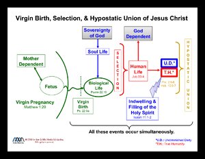 VirginBirthSelection-HypostaticUnion.pdf