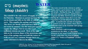 Water.png