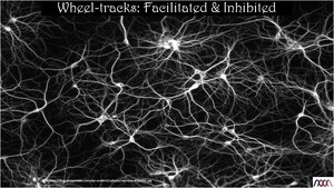 Wheel-Tracks-Facilitated-and-Inhibited-1.png