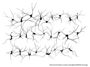 Wheel-tracks-Memory-Traces.pdf
